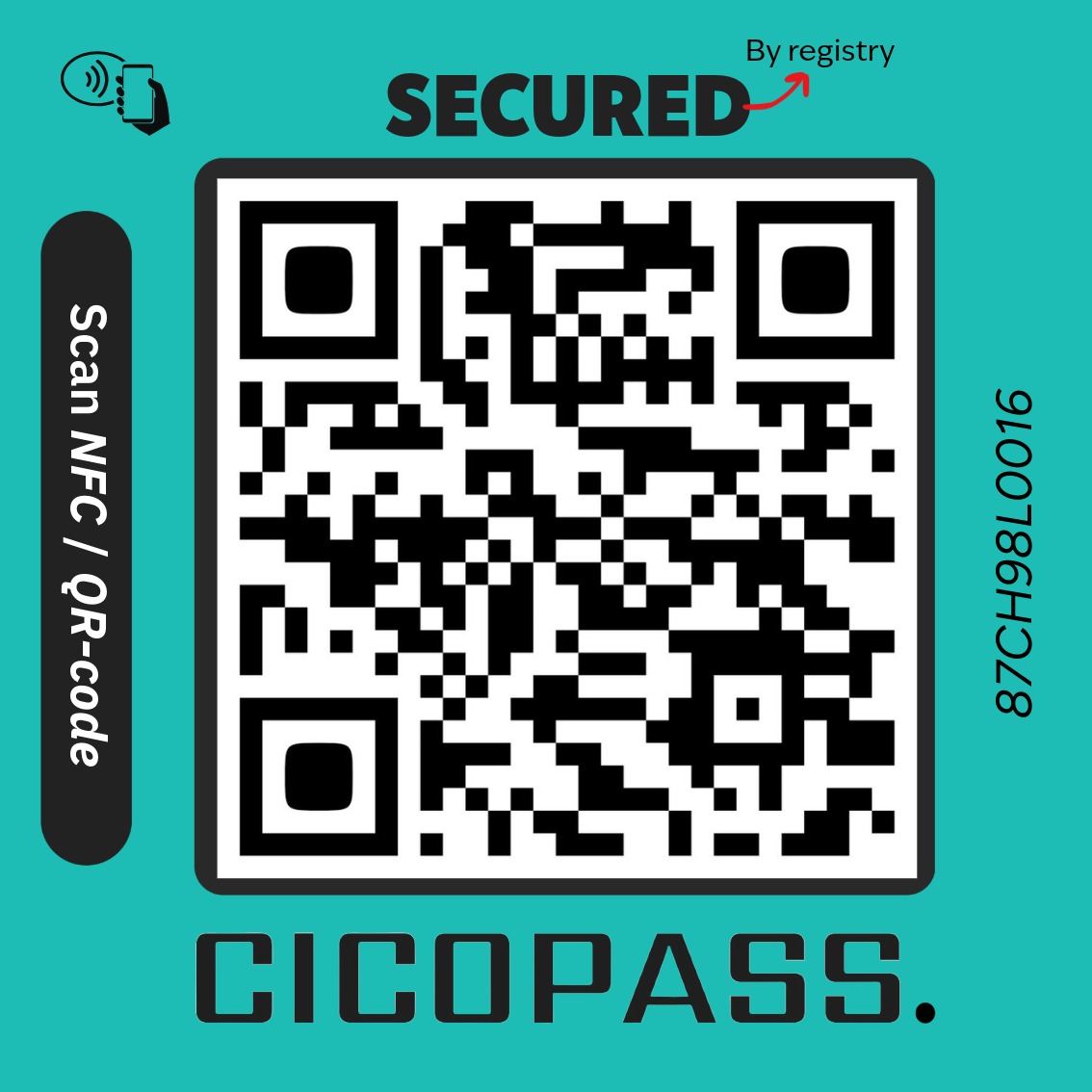 CicoPass Logo